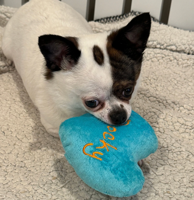 Dog Toy Personalized Plush Heart, Custom Heart Shaped Plushie with Embroidered Name, Heart Dog Toy